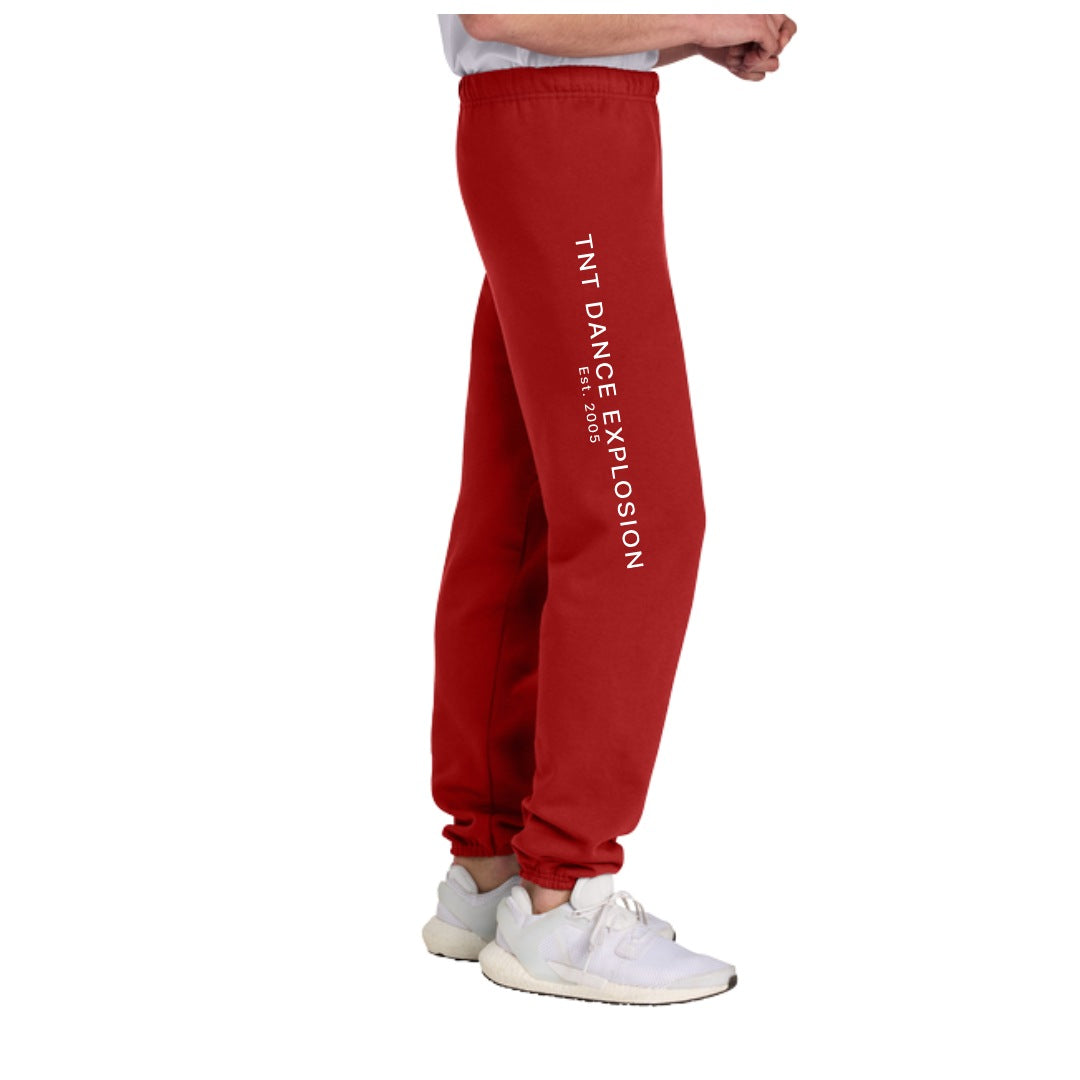 TNT Sweatpants – Classic Logo